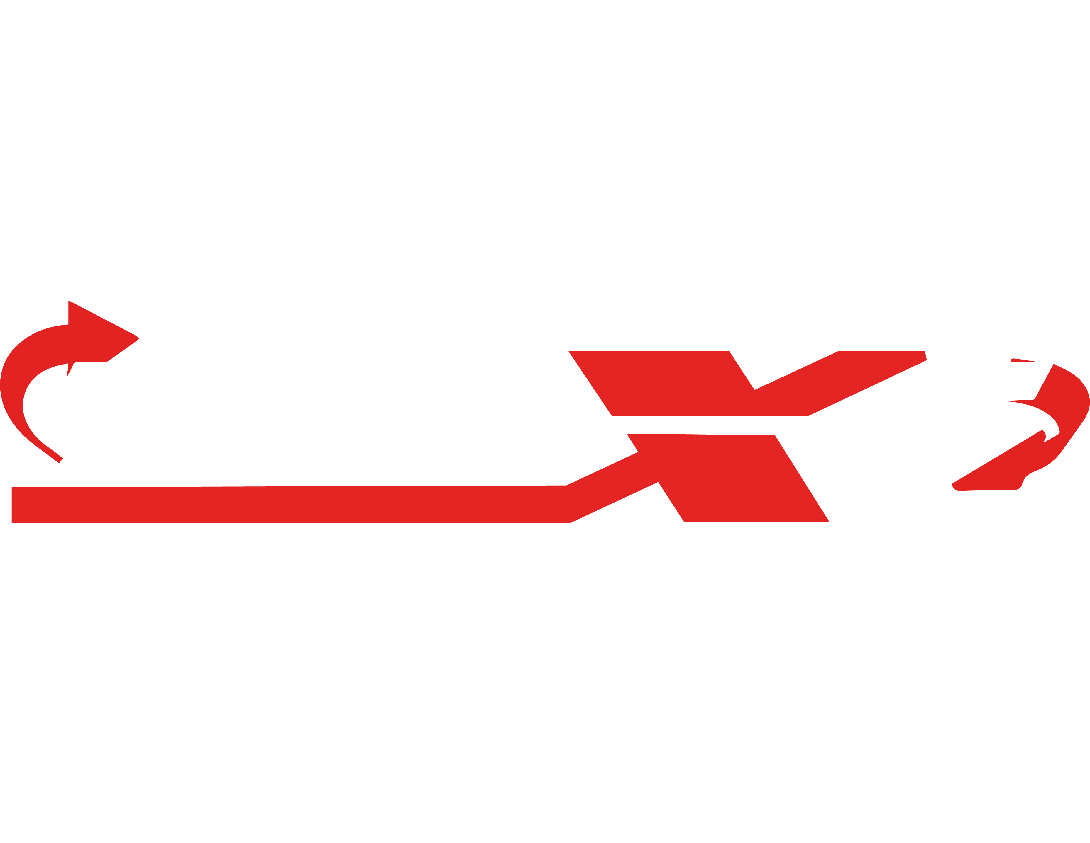 Logo Maxi